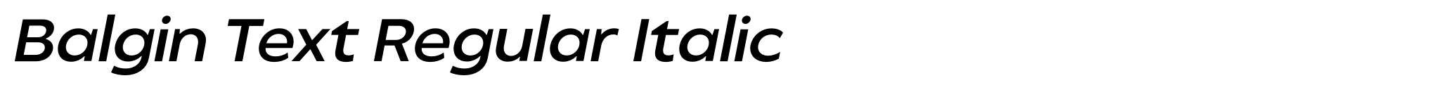 Balgin Text Regular Italic image